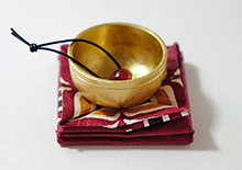 Dish